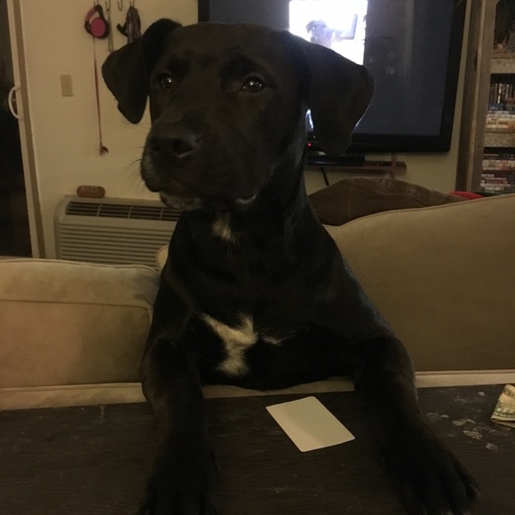 Smile- you’re shopping! Bonus “bargain hunting” - Picture 9 of 15